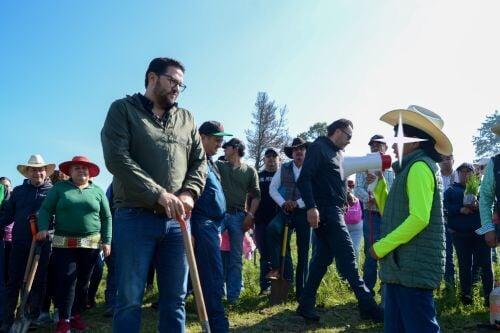 Encabeza alcalde reforestación de más de 20 mil arbolitos en Almoloya de Juárez
